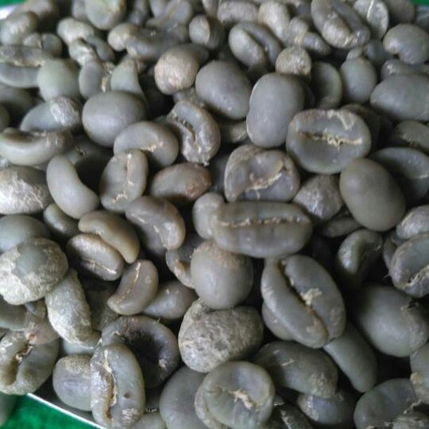 

Green Bean Petik Merah/Specialty Arabika Gayo