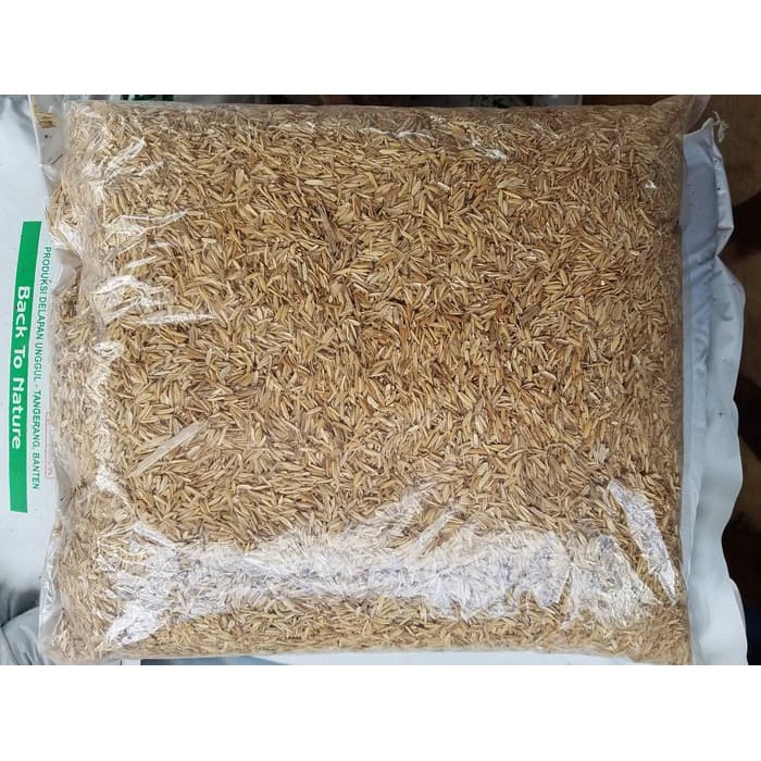 

Termurah MEDIA TANAM SEKAM MENTAH REPAKING 1KG Terlaris