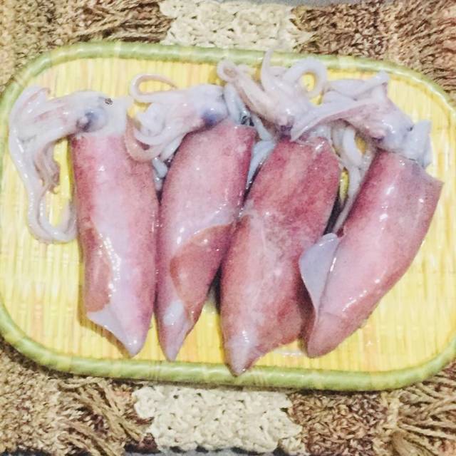 

CUMI SEGAR SIZE 1KG 5/6 EKOR