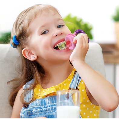  Empeng Buah / Dot Buah / Fruit Feeder Pacifier /Empeng Buah Sayur Bayi Gigit Makan Teether-3
