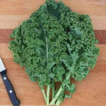 

Daun Kale (500 gram)