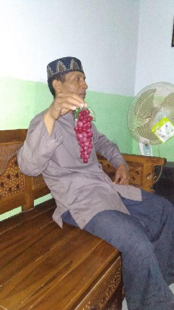 Buah Anggur Bahan Latex Karet 20 Cm Pajangan Buah Palsu Hiasan Meja