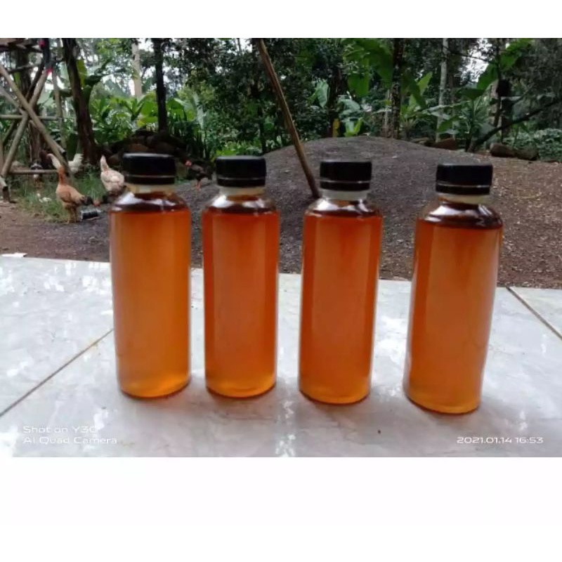 

Madu Trigona