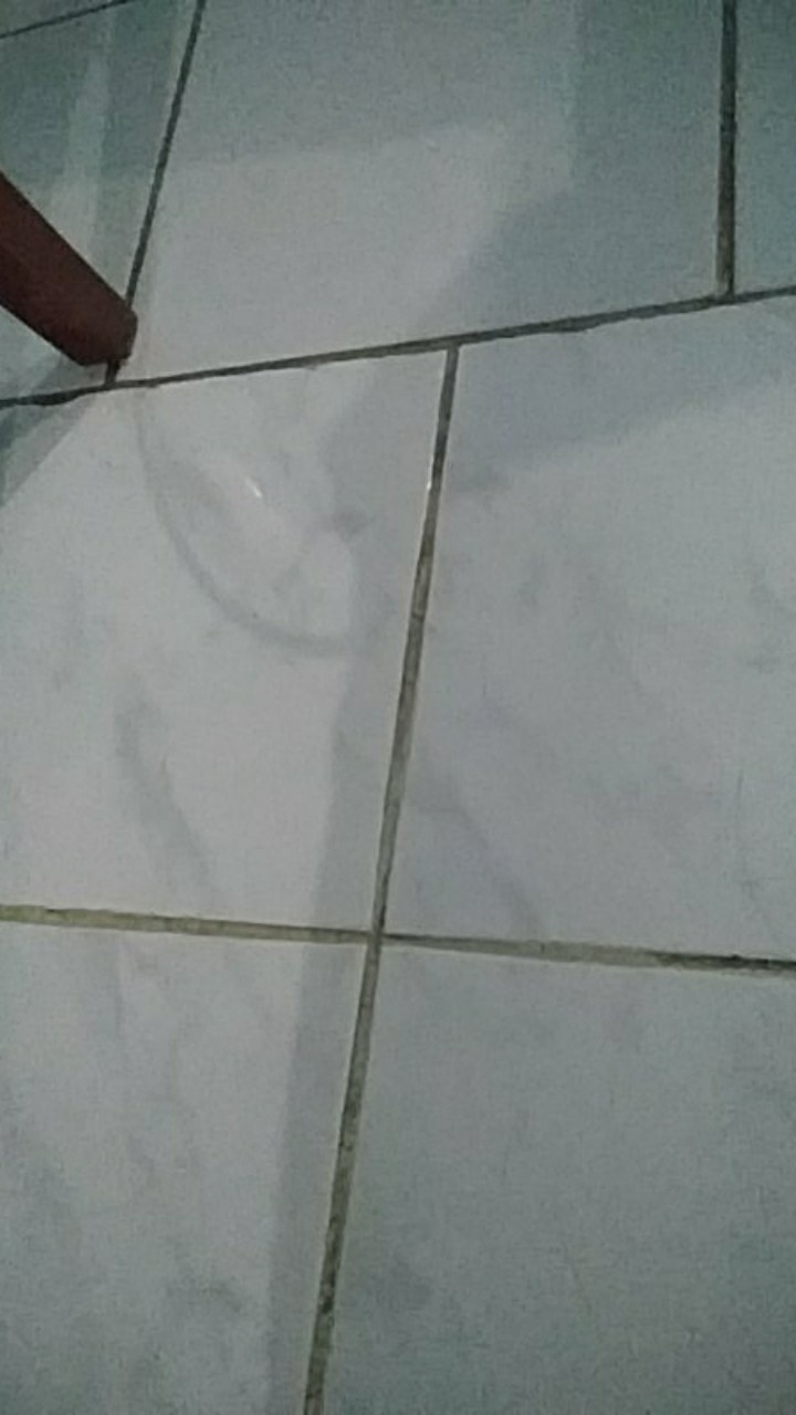 Toples Kue Kering Sekat 4 Nuai Sn 818/toples Lebaran