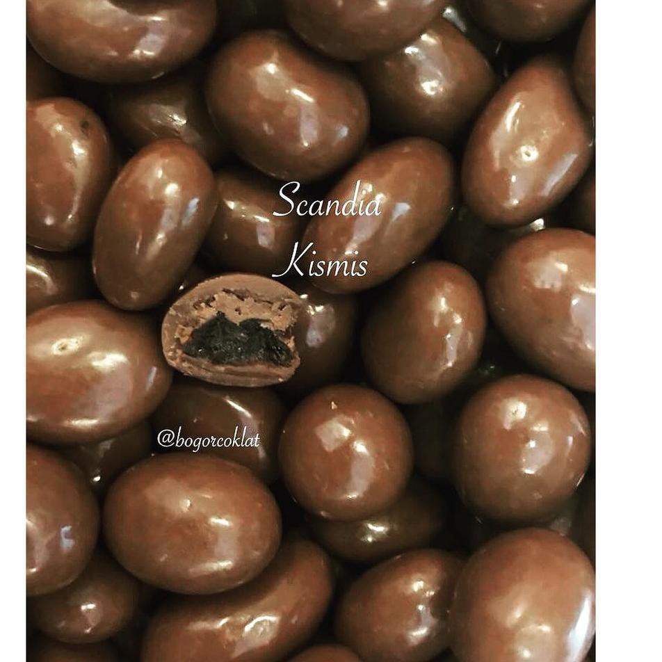 

STAR BRANDS Coklat Scandia Kismis 500gr