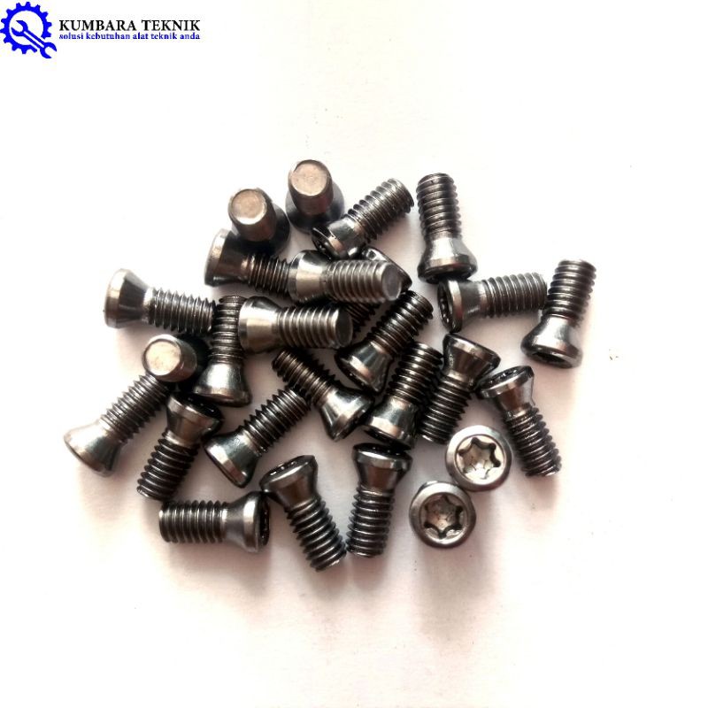 BAUT INSERT HOLDER | BAUT INSERT BUBUT M4 x 0.7 x 10/12