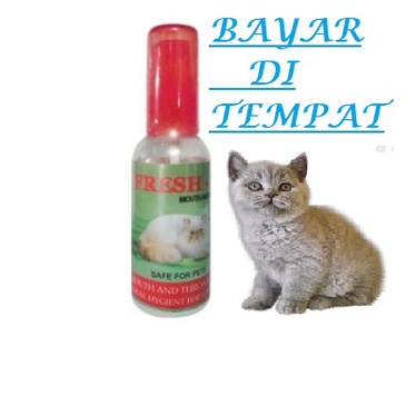 FRESH UP - OBAT SARIAWAN KUCING SAKIT TENGGOROKAN PENGHILANG BAU MULUT