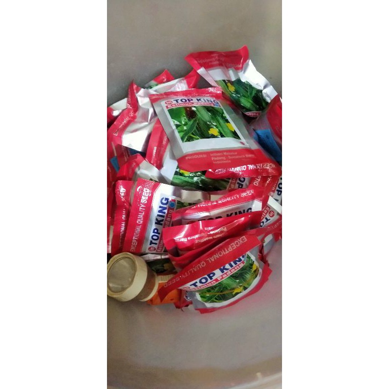 Bibit mentimun Top king padang