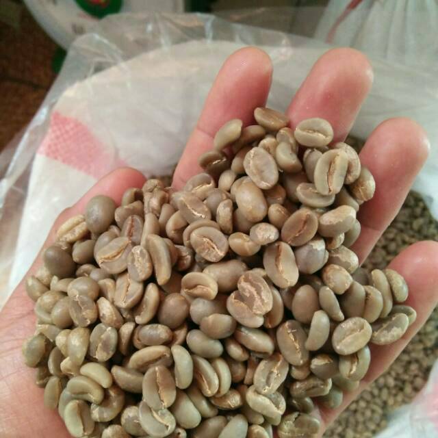 

FULLWASH - BIJI KOPI ARABIKA KALOSI ENREKANG
