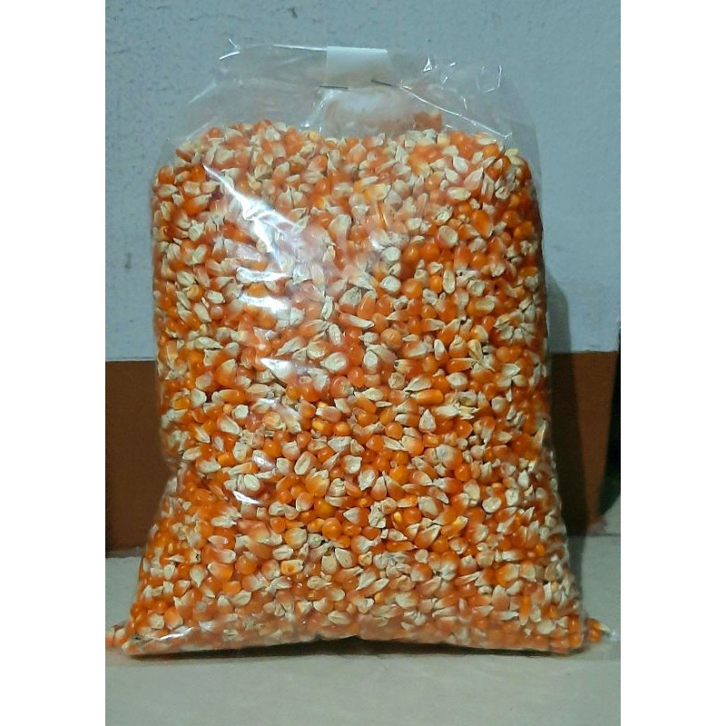 Jagung Biji Crystal Probolinggo Pakan Burung Merpati 1kg