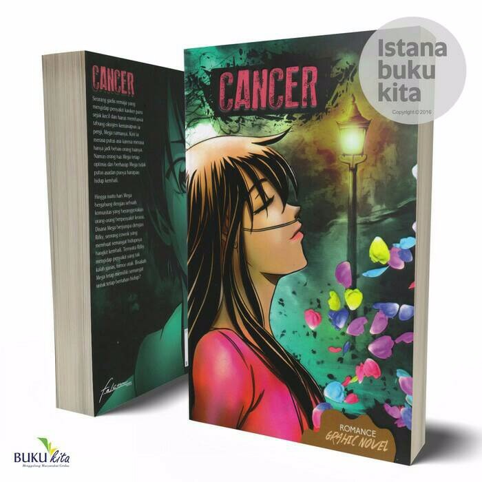 Novel Cancer Romance Graphic Novel Original
