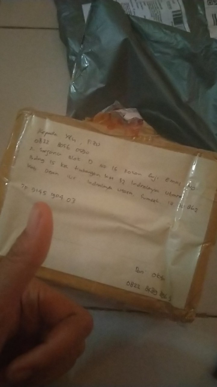 Benih Jagung Manis Hibrida F1 Paragon 200biji