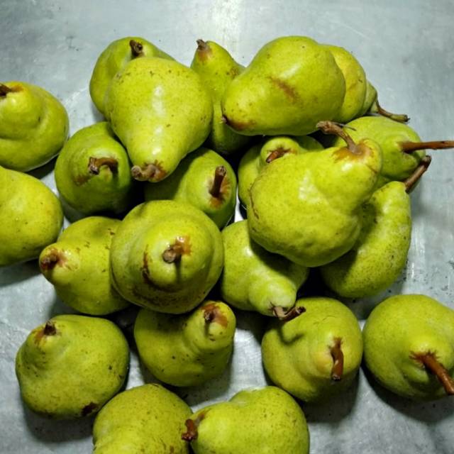 

Pear Hijau 1 kg