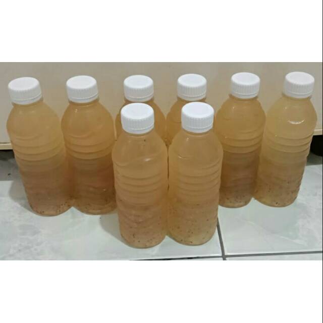 

Homefresh dan homemade Minuman sereh 330ml ready langsung minum