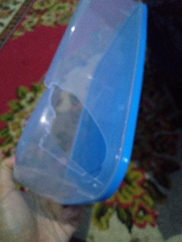 Kotak Makanan Plastik Food Grade Pp / Kotak Penyimpanan Storage Box 2750ml