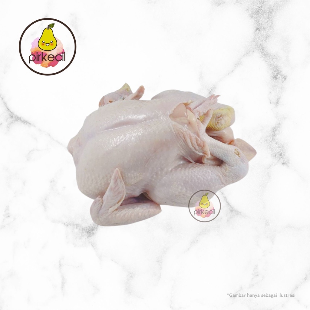 

Ayam Negeri / broiler utuh Segar FRESH