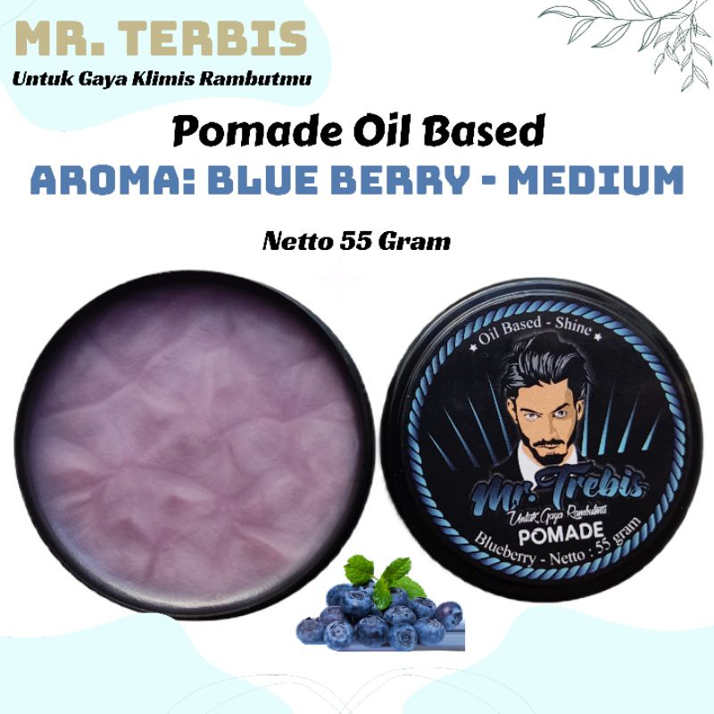 Minyak Rambut Pomade Oil Based Mr. Terbis 55 Gram Grosir