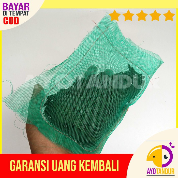 PREPUPA PUPA MAGOT BSF