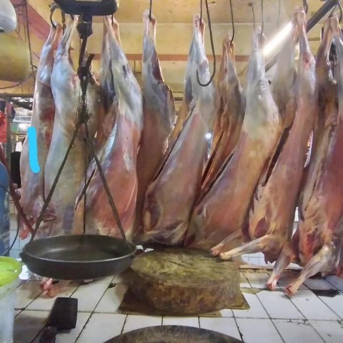 

Meat | Karkas Domba Lokal / Ekoran