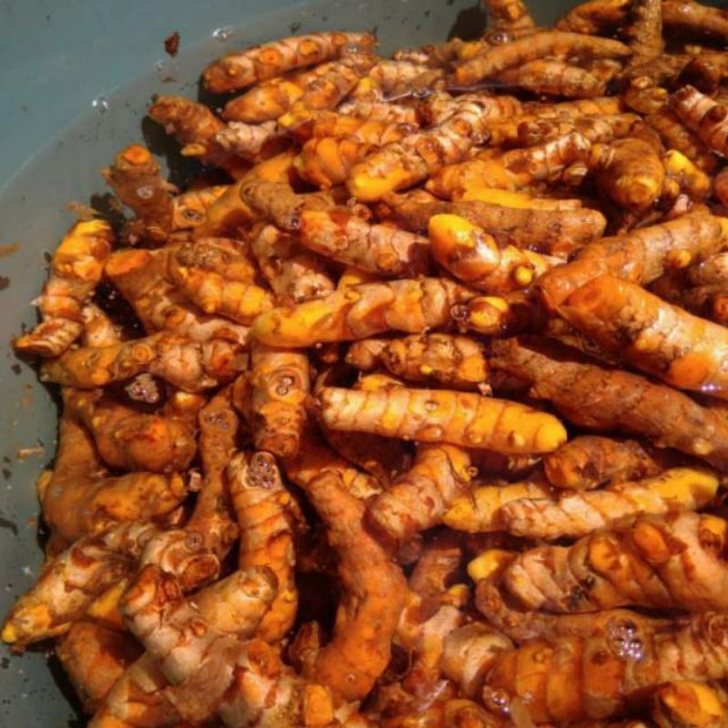 

kunyit 500gr