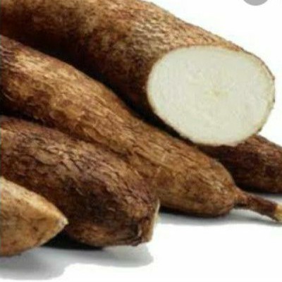 

Singkong 1kg 10000