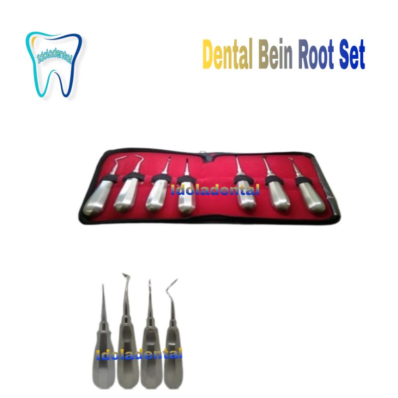 Dental Bein Root Set