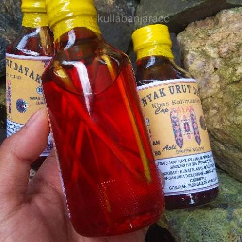 minyak urut minyak gosok dayak khas kalimantan asli murah berhologram ukuran sedang-Minyak