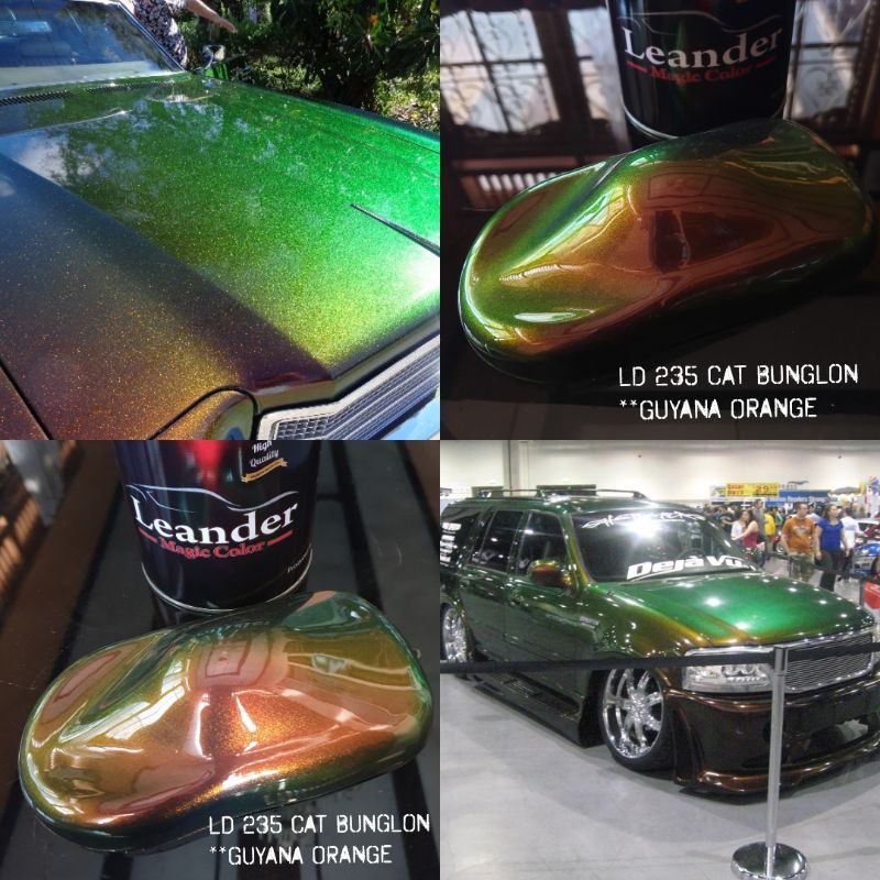 

Cat bunglon GUYANA ORANGE