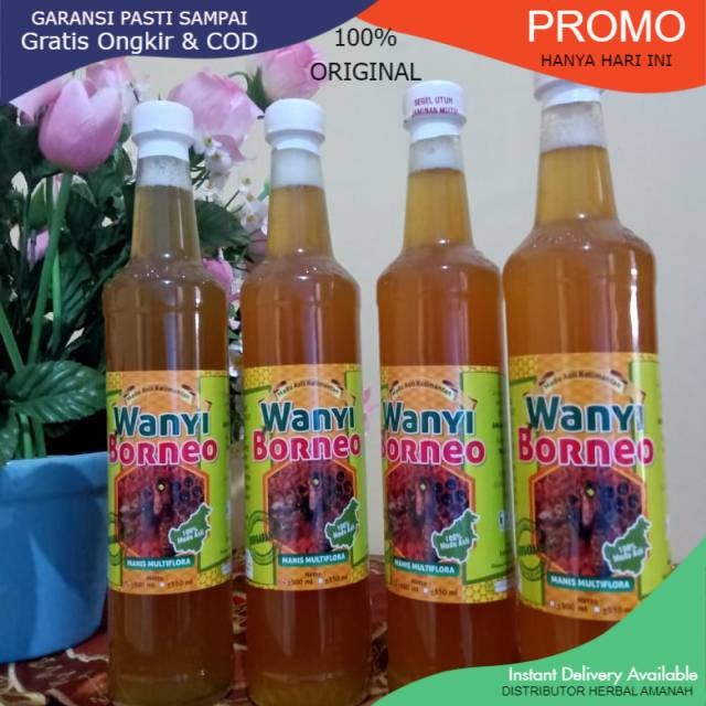 

PROMO MADU ASLI 100 % WANYI BORNEO - HUTAN KALIMANTAN - MADU MURNI - SEHAT ALAMI. STAMINA PRIMA