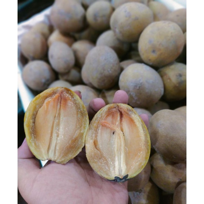 

Sawo manis 1kg