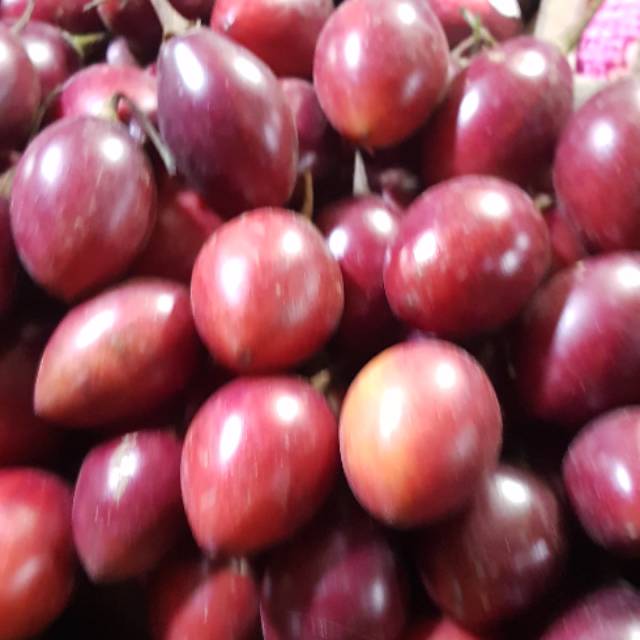 

Buah Terong Belanda Berastagi 1kg