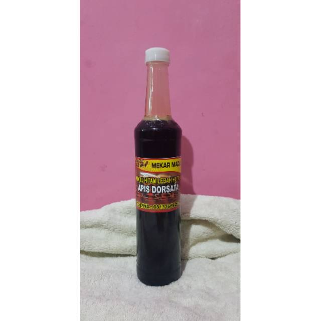 

Madu Hitam Asli