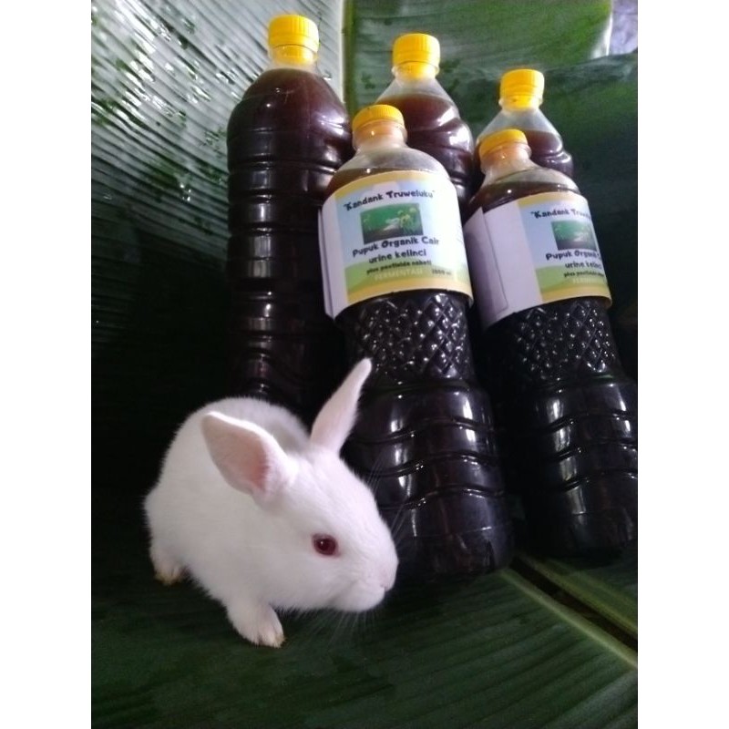 Pupuk Organik Cair ( POC )"Fermentasi Urine Kelinci" 1 liter