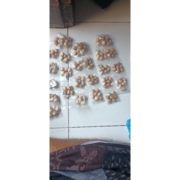 

bawang putih Lanang/ tunggal