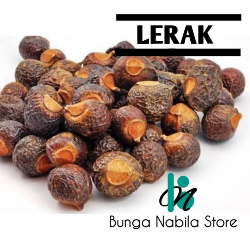 

Biji Lerak 250gr
