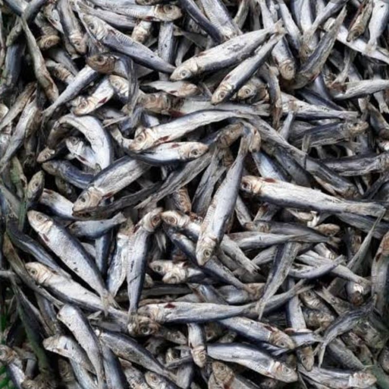 

Ikan Tembang Kering 1 pcs