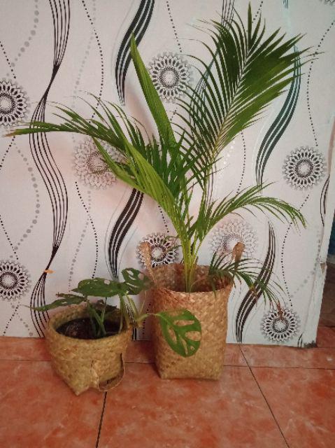 Set Bakul Purun, Hampers, Tas Belanja