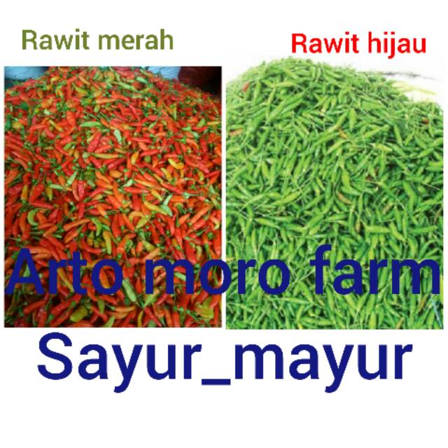 

cabe rawit merah & rawit hijau