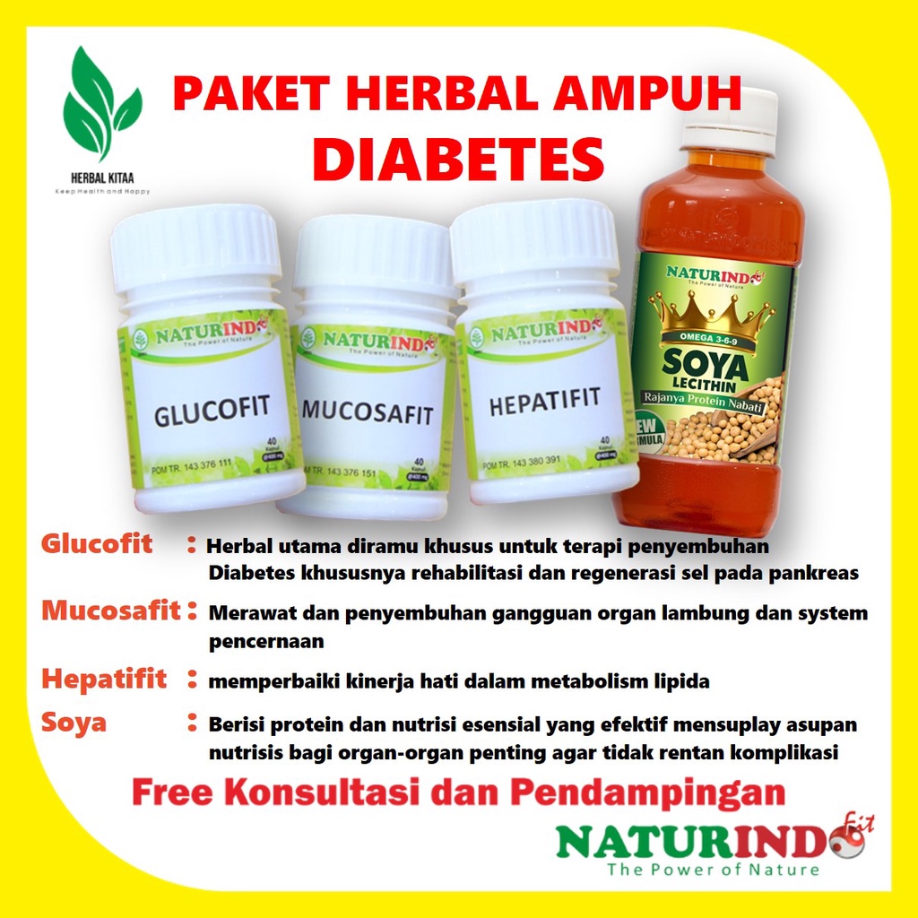 Glucofit Obat Herbal Diabetes Ampuh Obat Diabet Obat Gula Darah Obat Penurun Gula Darah Naturindo-Paket Ampuh