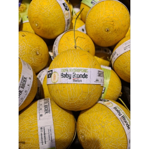 

buah melon baby blonde mini ukuran 700gr