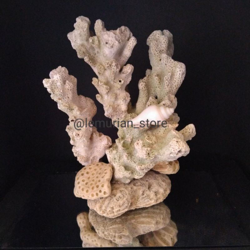 BATU KARANG LAUT ASLI// aquarium/ aquascape/ corallaut/batu/laut/terumbu karang/deadrock/premium