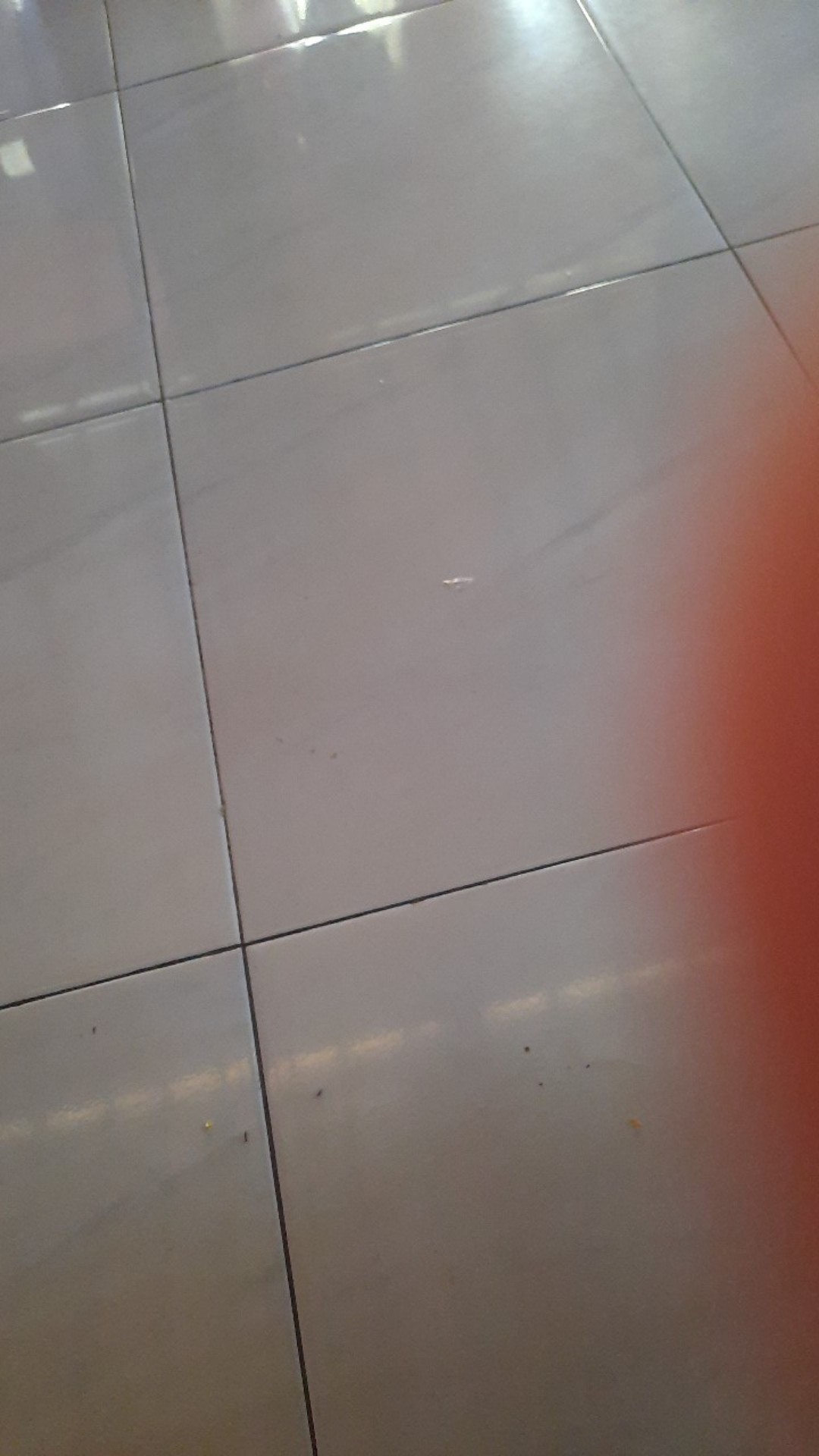 Wajan Stainless Steel Tebal Kokoh Anti Lengket Wajan Harden Golden Flying Fish Original