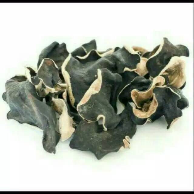 

BOKNI HITAM PUTIH /JAMUR KUPING HITAM PUTIH 100GRAM