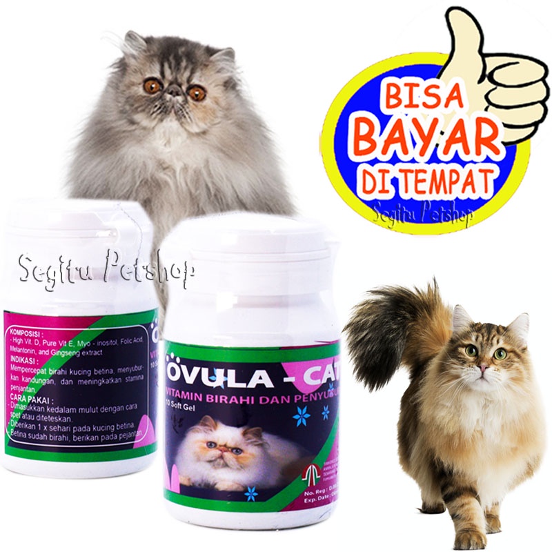 Obat Vitamin Kucing Susah Kawin Birahi Penyubur Ovula Cat