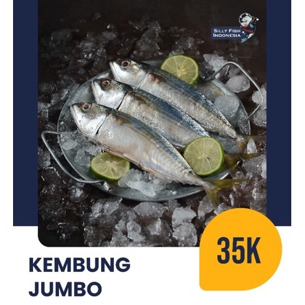 

Ikan Kembung Jumbo