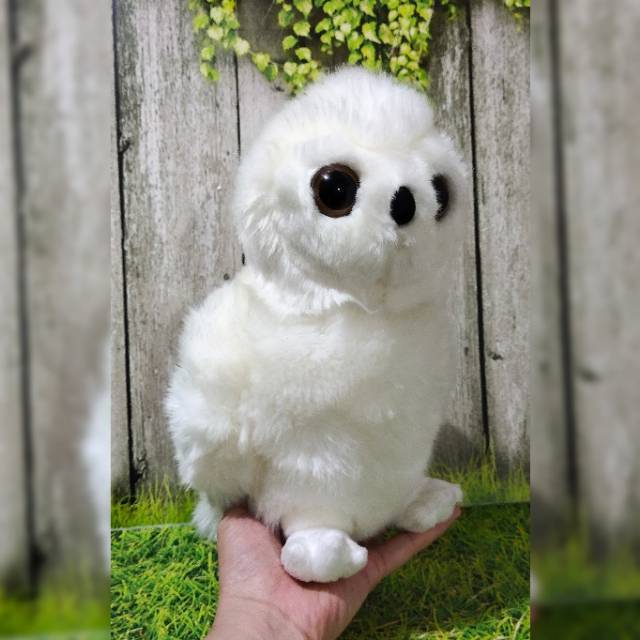 Boneka Hewan Burung Hantu Salju (snowy owl) Cantik