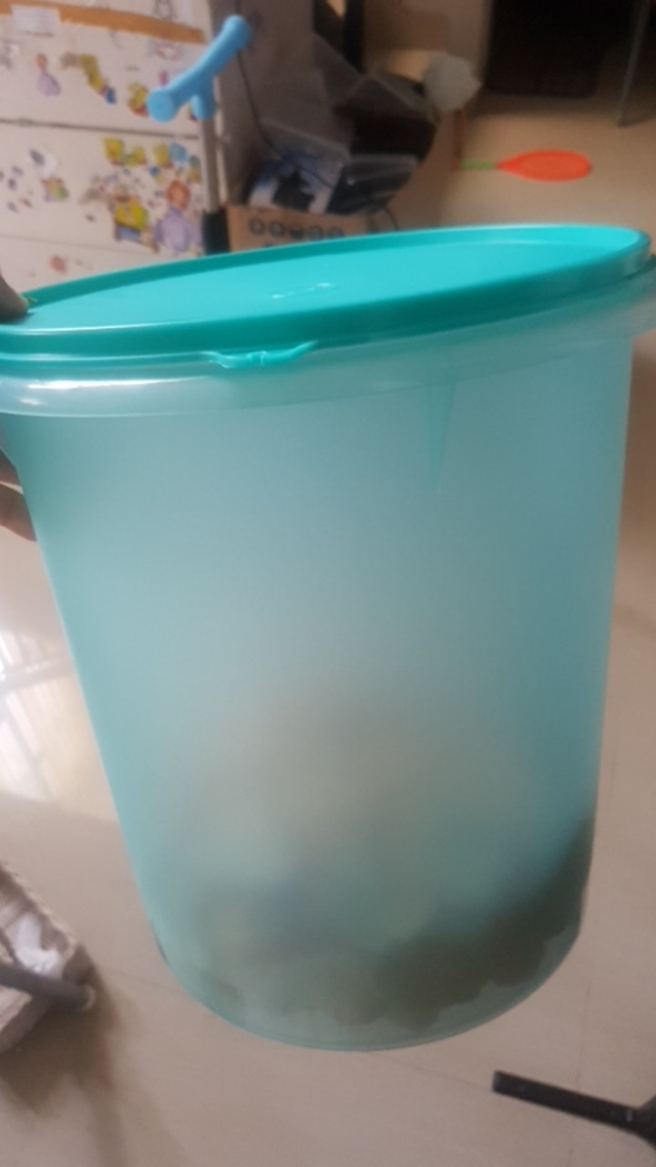 Giant Canister Toples Uk 8.4 1pcs