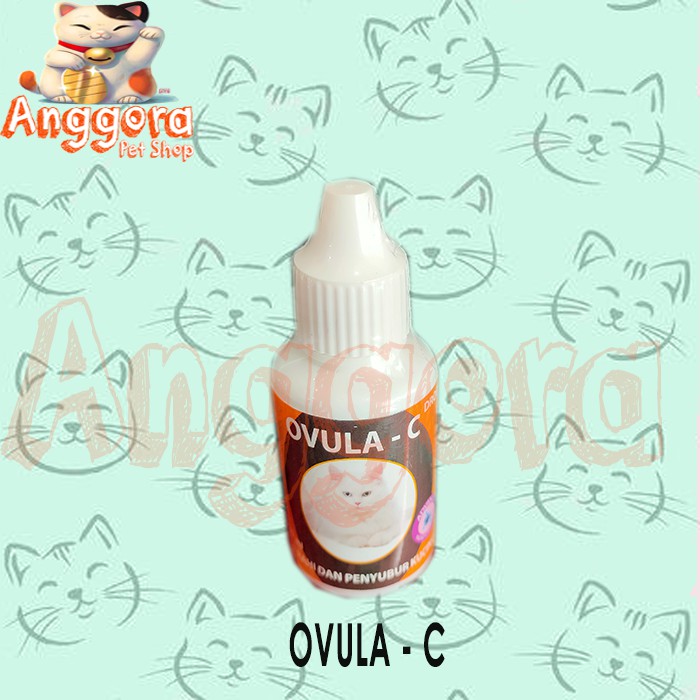 OVULA - C Drop 30ml Suplemen Birahi dan Penyubur Kucing