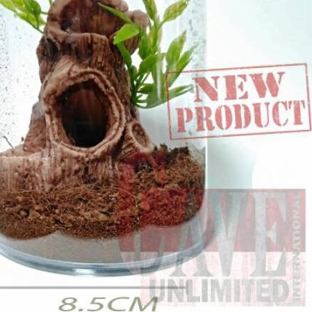 HC023 MINI HIDING CAVE WATER DISH POHON KAYU TARANTULA INSECTA - HIDING CAVE