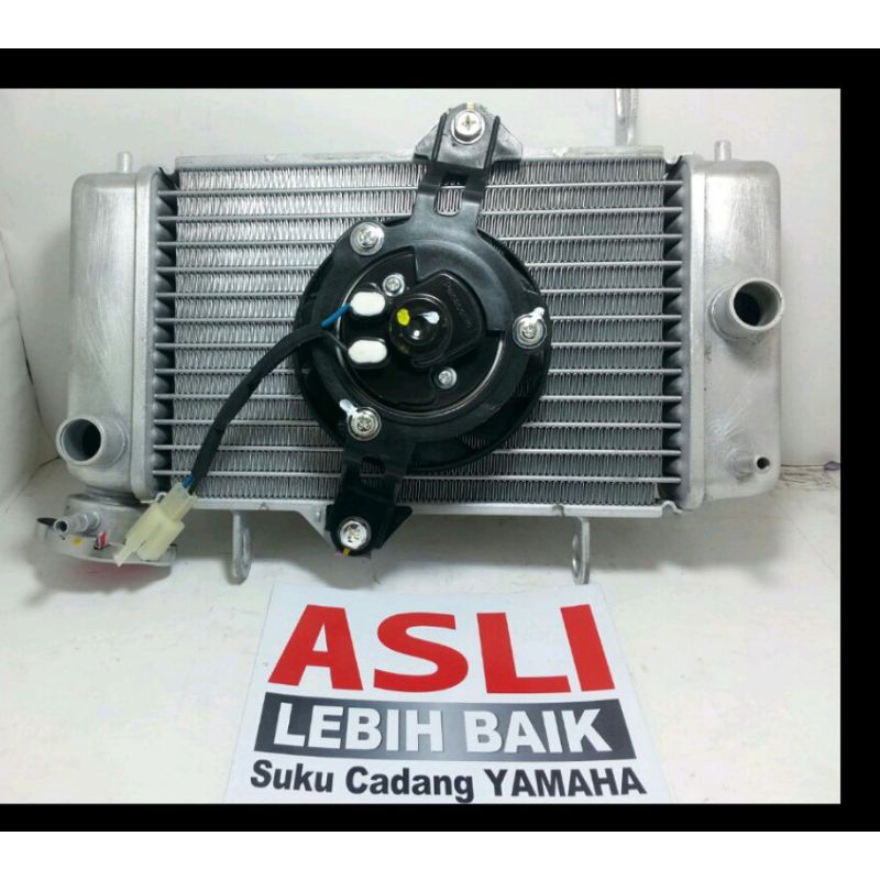 Radiator assy vixion old ORI YGP